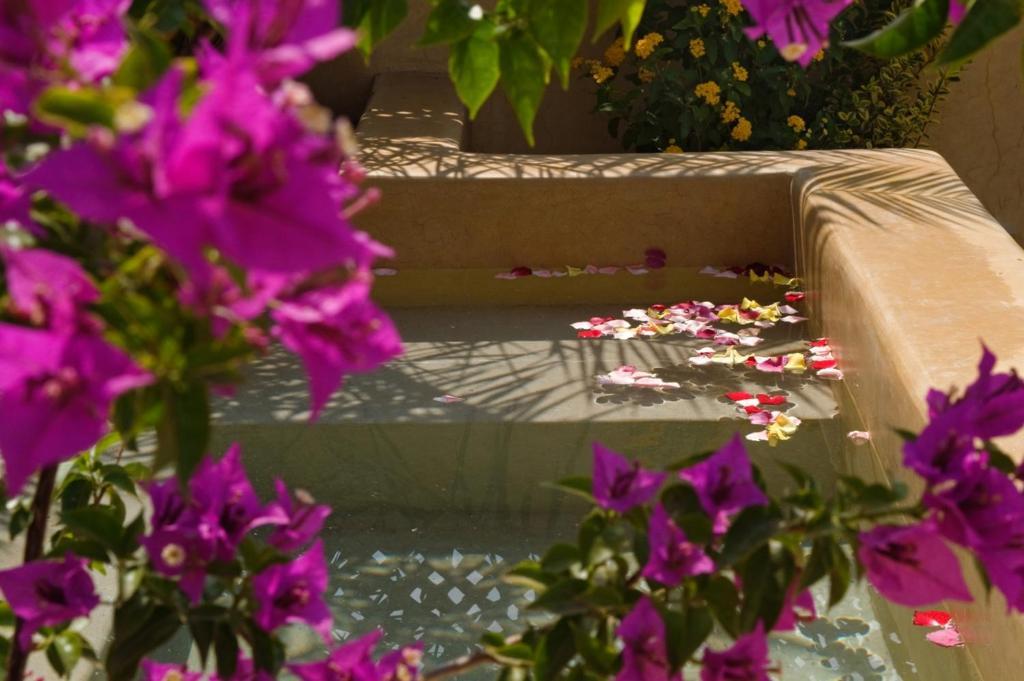 Riad Cinnamon By Marrakech Riad Marrakesh Exterior foto